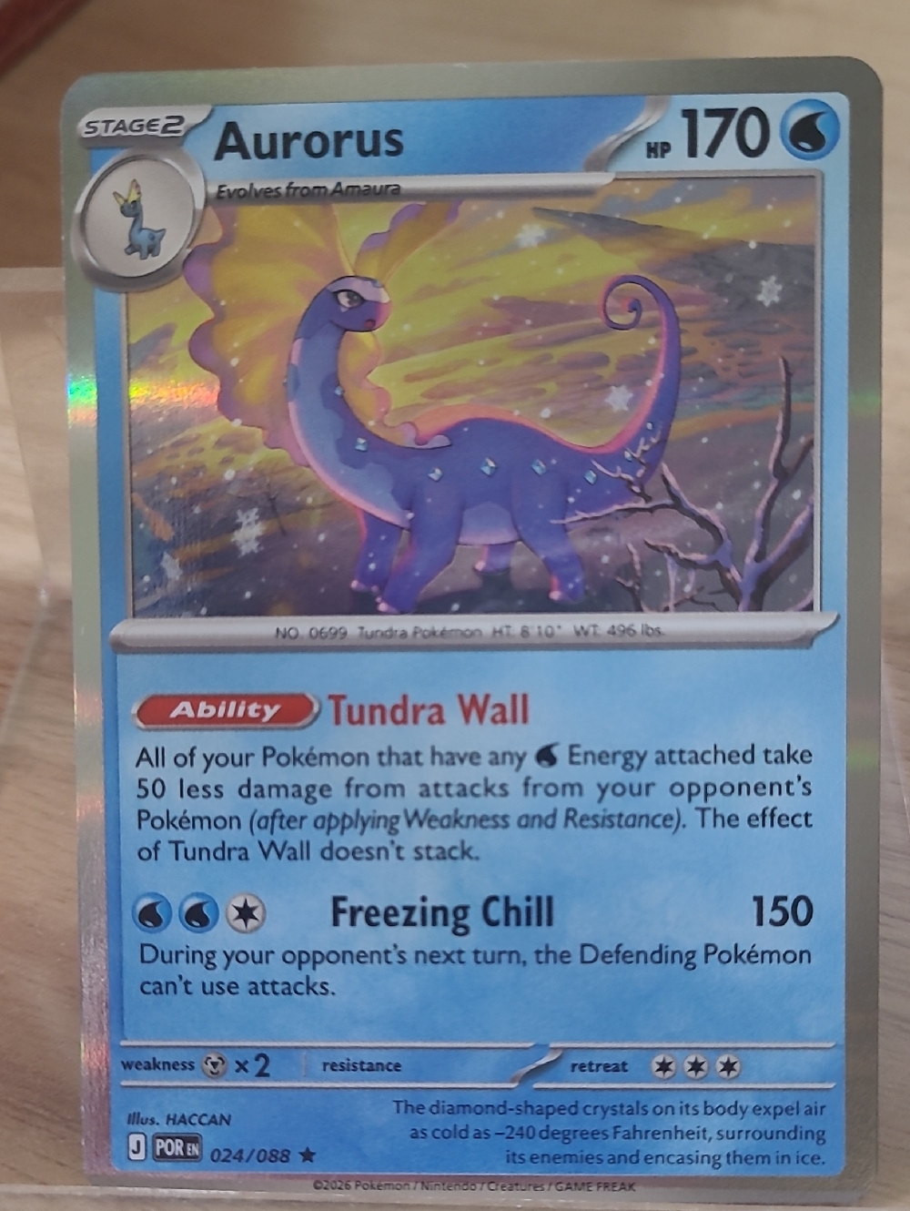 Aurorus Pokémon Reverse  Holo Card - Perfect Order
